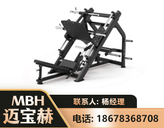 绥化45°倒蹬训练器