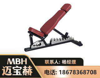 绥化可调哑铃椅